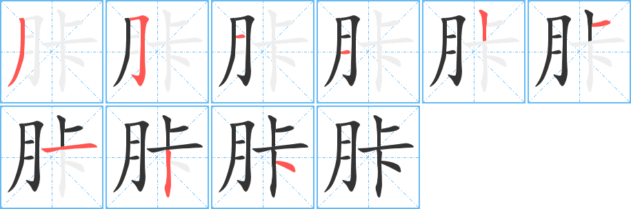 《胩》的笔顺_演示胩的笔顺及胩字的笔画顺序 - 汉字笔顺 - 汉字笔顺网