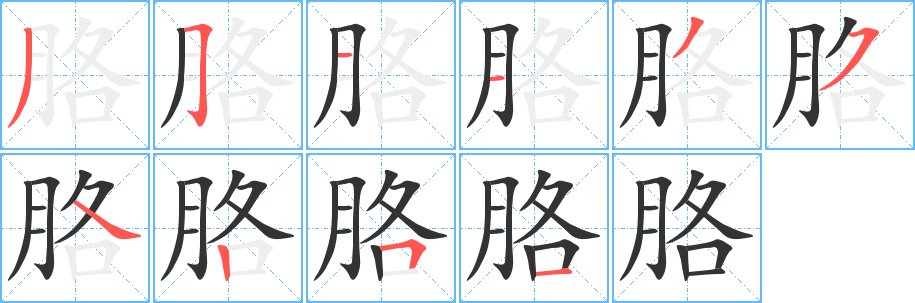 《胳》的笔顺_演示胳的笔顺及胳字的笔画顺序 - 汉字笔顺 - 汉字笔顺网